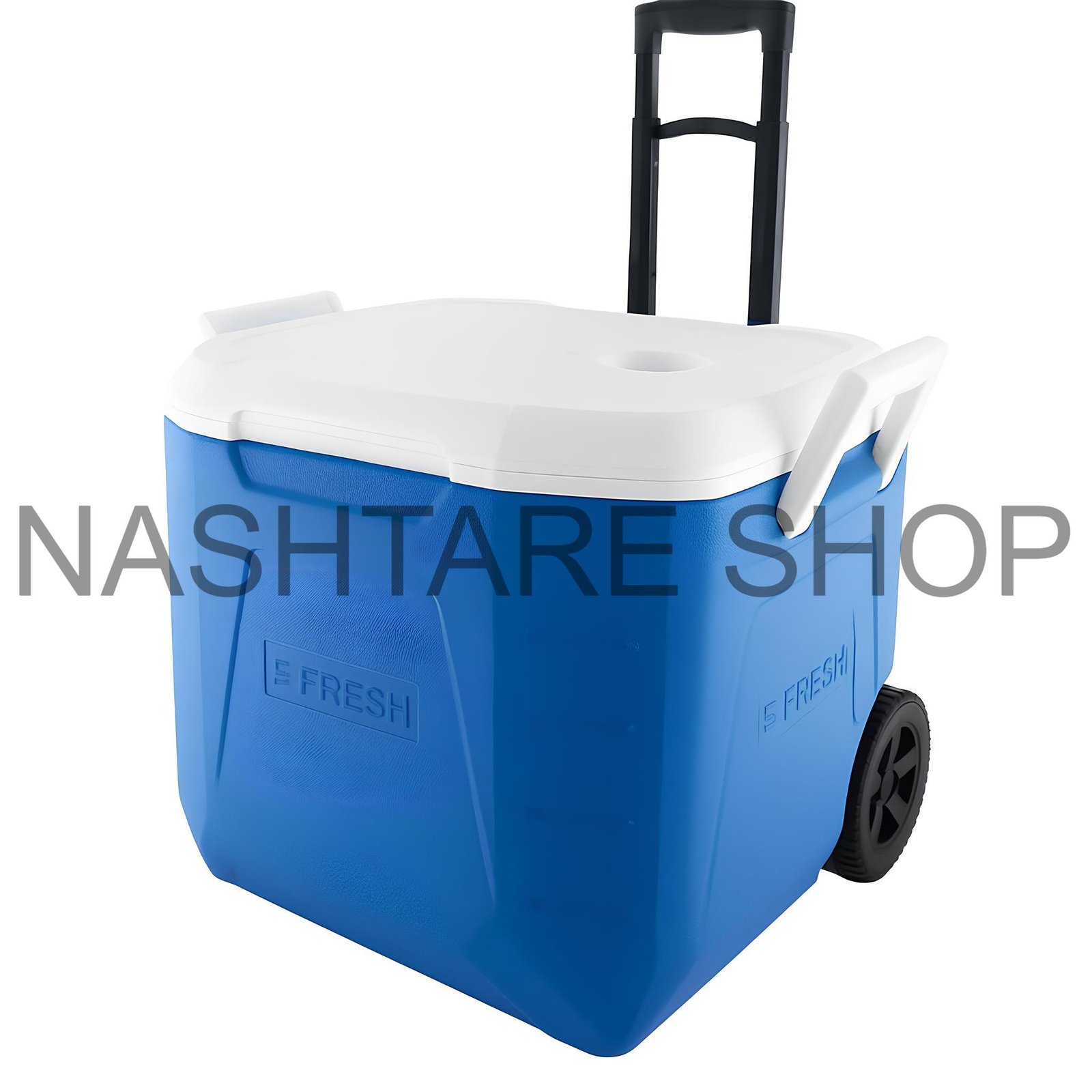 Insulated Cooler Box 48L | صندوق ثلج ٤٨ لتر